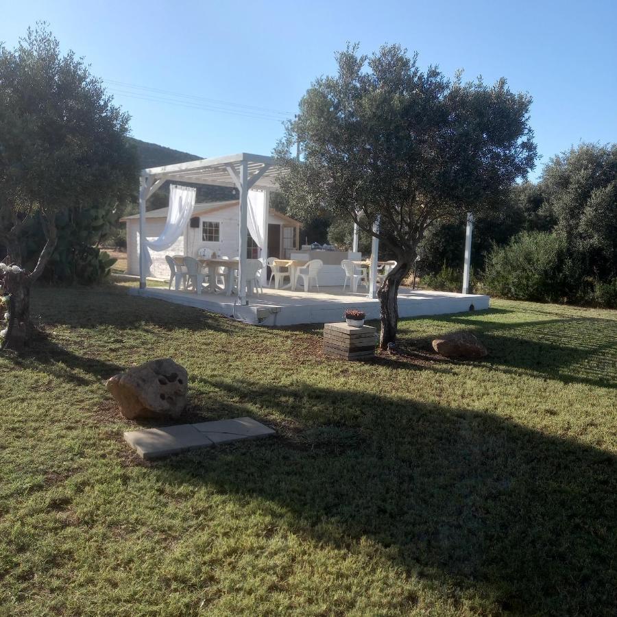B&B Gli Ulivi SantʼAnna Arresi Dış mekan fotoğraf