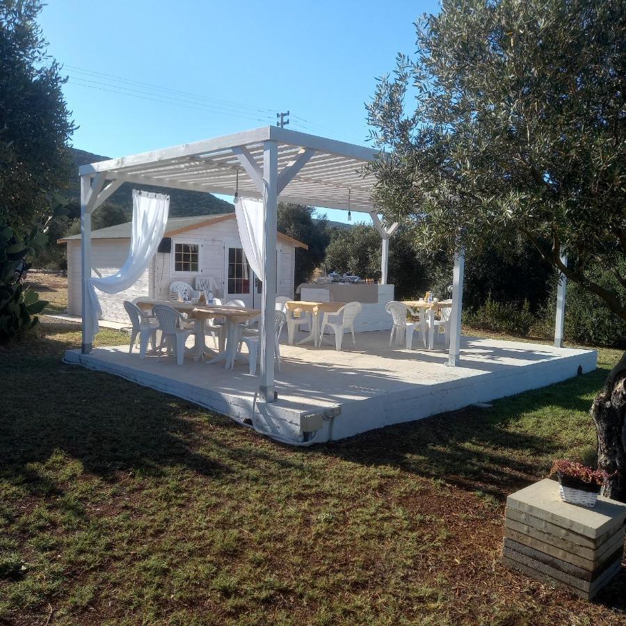 B&B Gli Ulivi SantʼAnna Arresi Dış mekan fotoğraf